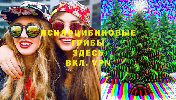 сатива Нязепетровск