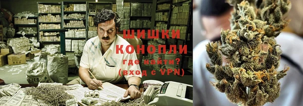 прущие грибы Осташков